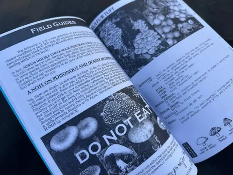 Radical Mycology: An SLF Primer — фотографии 2